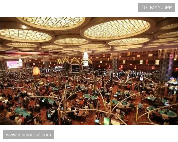 澳门十大赌厅是哪十大，介绍澳门最受欢迎的十大赌厅的详细特色与排名依据